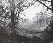 Atkinson Grimshaw Study of Beeches oil